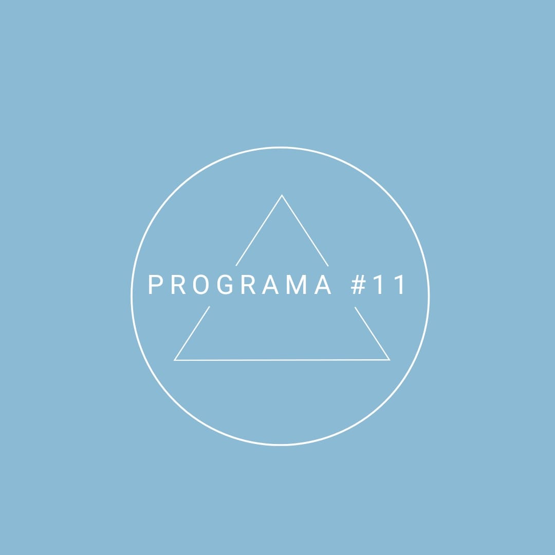 Programa 11