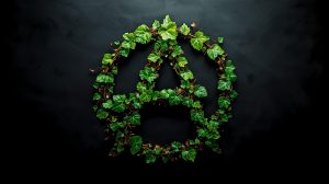 A majúscula, a d’anarquista, feta amb fulles de parra, fons negre